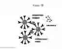 Fig. 29 - NMR systems and methods for the rapid detection of analytes