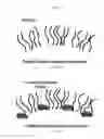 Fig. 41 - NMR systems and methods for the rapid detection of analytes