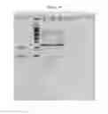 Fig. 55 - NMR systems and methods for the rapid detection of analytes
