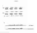 Fig. 16 - MULTIPLEX AMPLIFICATION AND DETECTION