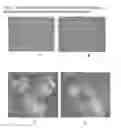 Fig. 04 - Integrated versatile and systems preparation of specimens