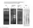 Fig. 05 - Integrated versatile and systems preparation of specimens