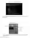 Fig. 16 - Integrated versatile and systems preparation of specimens