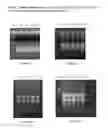 Fig. 28 - Integrated versatile and systems preparation of specimens