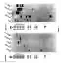 Fig. 04 - Poly ADP-ribose polymerase sequences and their uses
