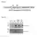 Fig. 06 - Poly ADP-ribose polymerase sequences and their uses