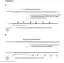 Fig. 04 - Methods and compositions for detection of small RNAs