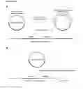 Fig. 32 - Methods and compositions for detection of small RNAs
