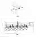 Fig. 04 - METHODS FOR THE DIAGNOSIS OF MULTIPLE SCLEROSIS BASED ON ITS MICRORNA EXPRESSION PROFILING