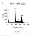 Fig. 110 - Methods To Identify Compounds Useful For The Treatment Of Proliferative And Differentiative Disorders