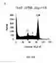 Fig. 112 - Methods To Identify Compounds Useful For The Treatment Of Proliferative And Differentiative Disorders