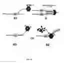 Fig. 137 - Methods To Identify Compounds Useful For The Treatment Of Proliferative And Differentiative Disorders