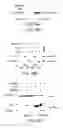 Fig. 85 - Methods To Identify Compounds Useful For The Treatment Of Proliferative And Differentiative Disorders