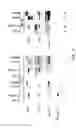 Fig. 88 - Methods To Identify Compounds Useful For The Treatment Of Proliferative And Differentiative Disorders