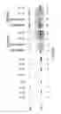 Fig. 92 - Methods To Identify Compounds Useful For The Treatment Of Proliferative And Differentiative Disorders