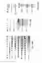 Fig. 93 - Methods To Identify Compounds Useful For The Treatment Of Proliferative And Differentiative Disorders