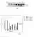 Fig. 02 - Method of detecting botulinum neurotoxin and antibodies that neutralize botulinum neurotoxin action