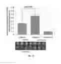 Fig. 12 - Method of detecting botulinum neurotoxin and antibodies that neutralize botulinum neurotoxin action