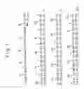 Fig. 02 - METHOD FOR USING A DIAGNOSTIC AGENT WHICH INCLUDES A CALCIUM BINDING PROTEIN ASSAY REAGENT AND ASSAY METHOD FOR CALCIUM BINDING PROTEIN