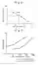 Fig. 07 - METHOD FOR USING A DIAGNOSTIC AGENT WHICH INCLUDES A CALCIUM BINDING PROTEIN ASSAY REAGENT AND ASSAY METHOD FOR CALCIUM BINDING PROTEIN