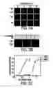 Fig. 04 - T1R taste receptors and genes encoding same