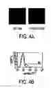 Fig. 05 - T1R taste receptors and genes encoding same