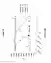 Fig. 28 - METHODS AND KITS FOR MEASURING ENZYME ACTIVITY