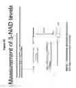 Fig. 30 - METHODS AND KITS FOR MEASURING ENZYME ACTIVITY