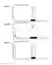 Fig. 28 - DEVICES AND WASHES FOR BIOMARKER STABILIZATION