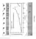 Fig. 28 - Asynchronous magnetic bead rotation sensing systems and methods