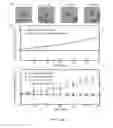 Fig. 29 - Asynchronous magnetic bead rotation sensing systems and methods