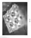 Fig. 40 - Asynchronous magnetic bead rotation sensing systems and methods