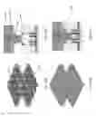 Fig. 48 - Asynchronous magnetic bead rotation sensing systems and methods