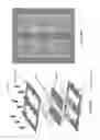 Fig. 49 - Asynchronous magnetic bead rotation sensing systems and methods