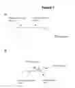 Fig. 02 - Compositions and methods for producing single-stranded circular DNA