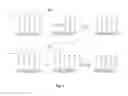 Fig. 04 - METHODS OF ENZYMATIC DISCRIMINATION ENHANCEMENT AND SURFACE-BOUND DOUBLE-STRANDED DNA