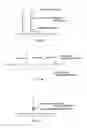 Fig. 17 - METHODS OF ENZYMATIC DISCRIMINATION ENHANCEMENT AND SURFACE-BOUND DOUBLE-STRANDED DNA