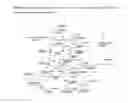 Fig. 03 - Recombinant microorganisms for increased production of organic acids