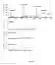 Fig. 17 - METHOD OF PREPARATION OF A BIOLOGICAL PARTICULATE STRUCTURE
