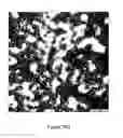 Fig. 23 - METHOD OF PREPARATION OF A BIOLOGICAL PARTICULATE STRUCTURE