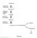 Fig. 02 - Genetically engineered microorganisms comprising 4-hydroxybenzoyl-coa thioesterases and methods of using the same for producing free fatty acids and fatty acid derivatives