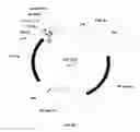 Fig. 03 - Genetically engineered microorganisms comprising 4-hydroxybenzoyl-coa thioesterases and methods of using the same for producing free fatty acids and fatty acid derivatives