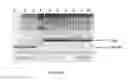 Fig. 07 - Genetically engineered microorganisms comprising 4-hydroxybenzoyl-coa thioesterases and methods of using the same for producing free fatty acids and fatty acid derivatives