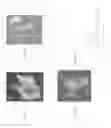 Fig. 05 - Identity profiling of cell surface markers