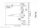 Fig. 09 - Identity profiling of cell surface markers