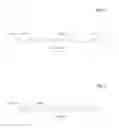 Fig. 06 - BIVALENT, BISPECIFIC ANTIBODIES