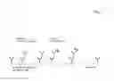 Fig. 09 - BIVALENT, BISPECIFIC ANTIBODIES