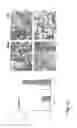 Fig. 14 - Productivity augmenting protein factor, novel cell lines and uses thereof