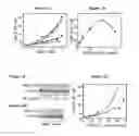 Fig. 03 - COMPOSITIONS FOR SILENCING THE EXPRESSION OF VDAC1 AND USES THEREOF