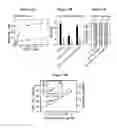 Fig. 04 - COMPOSITIONS FOR SILENCING THE EXPRESSION OF VDAC1 AND USES THEREOF
